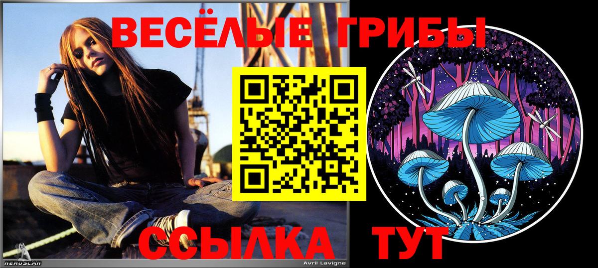 Карпинск  Галлюциногенные грибы MAGIC MUSHROOMS  Вход с VPN 